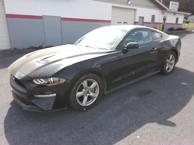 BUY FORD MUSTANG 2019 ECOBOOST FASTBACK, Auction Streaming