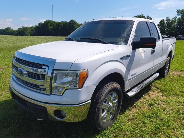 BUY FORD F-150 2014 4WD SUPERCAB 145