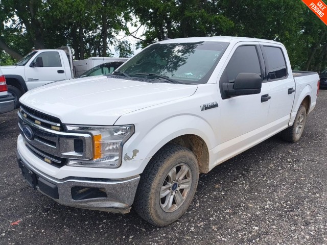 BUY FORD F-150 2020 XLT 2WD SUPERCREW 5.5' BOX, Auction Streaming
